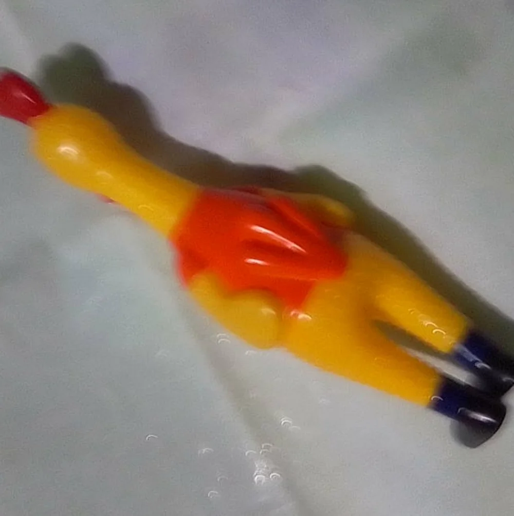 Chew Toy Dave and Busters Rooster 🐓 Chicken rubber squeak toy New Without Tags
